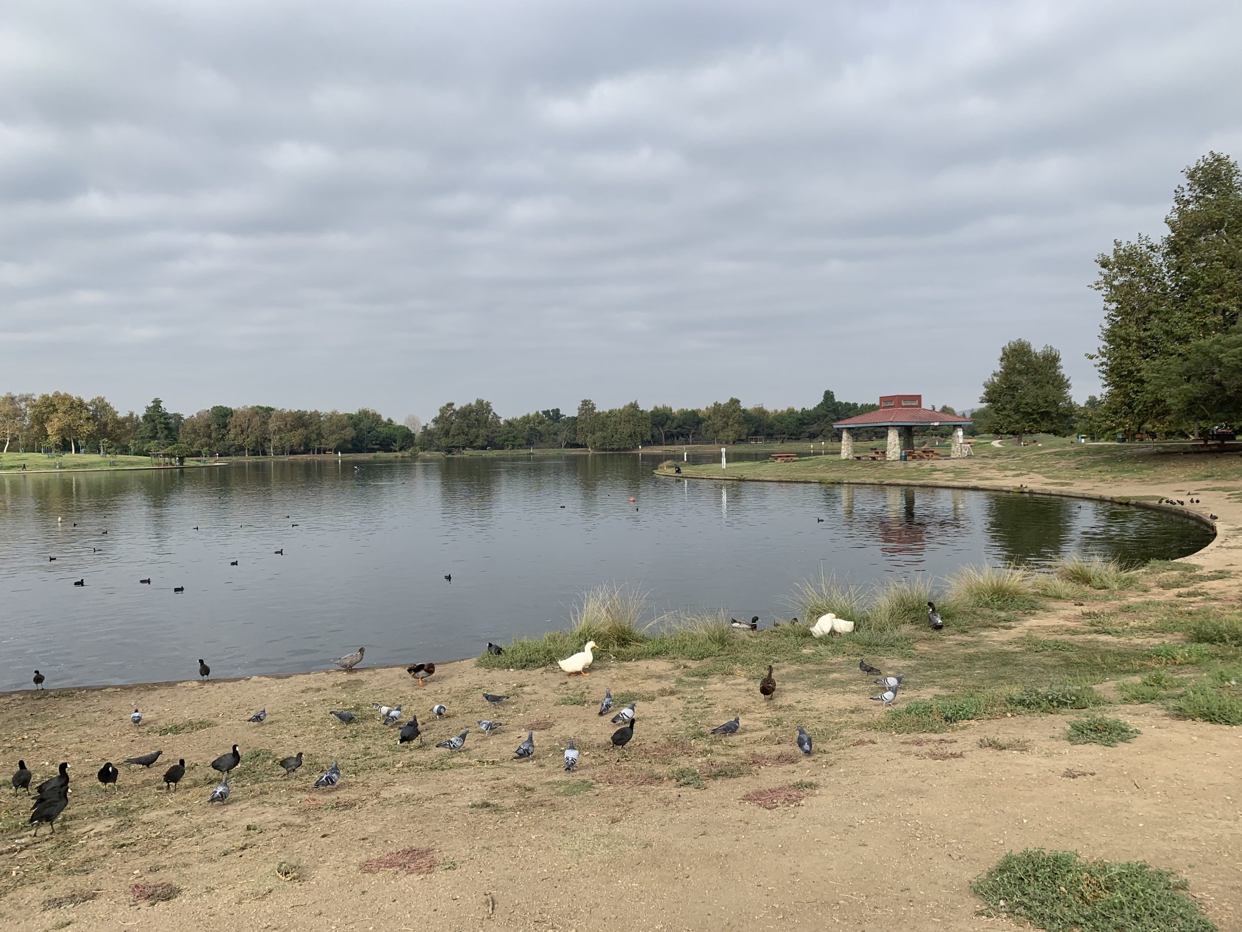 Lake_Balboa_Pond_2023 - Lombardi House